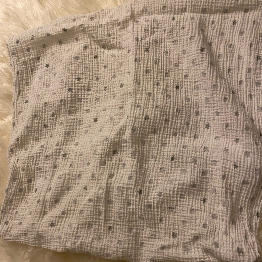 Aden & Anais Pack n Play sheet